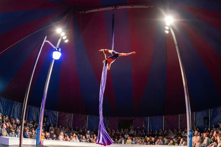 Midnight Circus